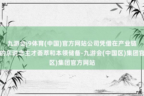 九游会j9体育(中国)官方网站公司凭借在产业链内多年的东说念主才荟萃和本领储备-九游会(中国区)集团官方网站