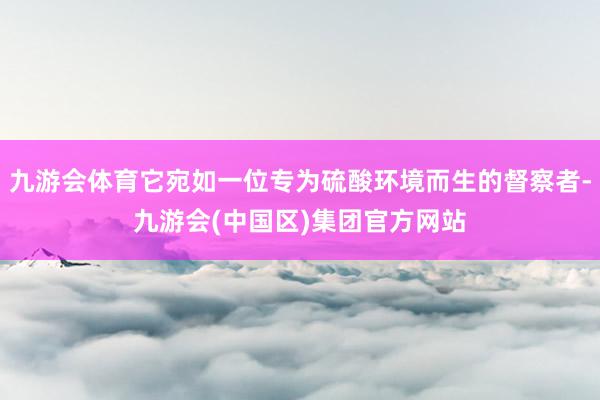 九游会体育它宛如一位专为硫酸环境而生的督察者-九游会(中国区)集团官方网站