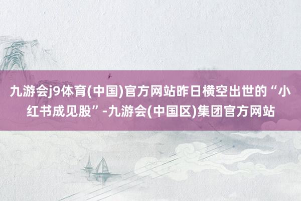 九游会j9体育(中国)官方网站昨日横空出世的“小红书成见股”-九游会(中国区)集团官方网站