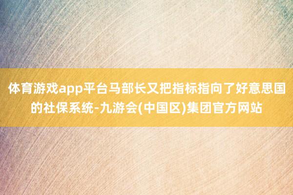 体育游戏app平台马部长又把指标指向了好意思国的社保系统-九游会(中国区)集团官方网站